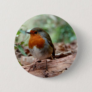 Robin op een ledemaat ronde button 5,7 cm