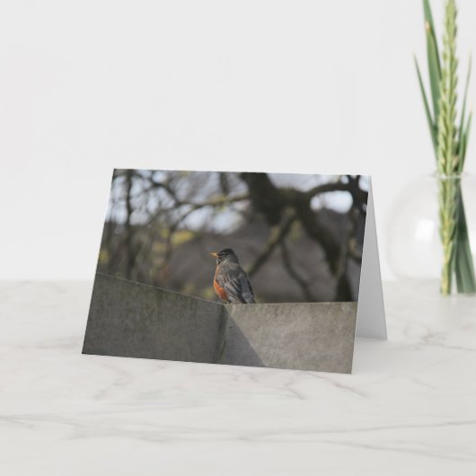 Robin op Muur Kaart (Voorkant)