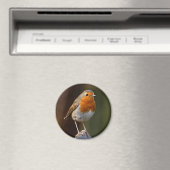 Robin op Post Magnet (Insitu (Vaatwasser))