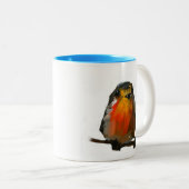 robin op tak mok met blue prattcreekart (Voorkant rechts)