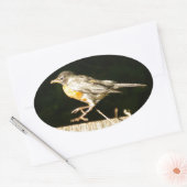 Robin Ovale Sticker (Envelop)