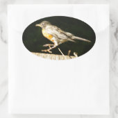 Robin Ovale Sticker (Tas)