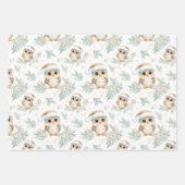 Robin Owl Patronen Zuidelijk Halfrond Kerstmis Inpakpapier Vel (Voorkant 2)