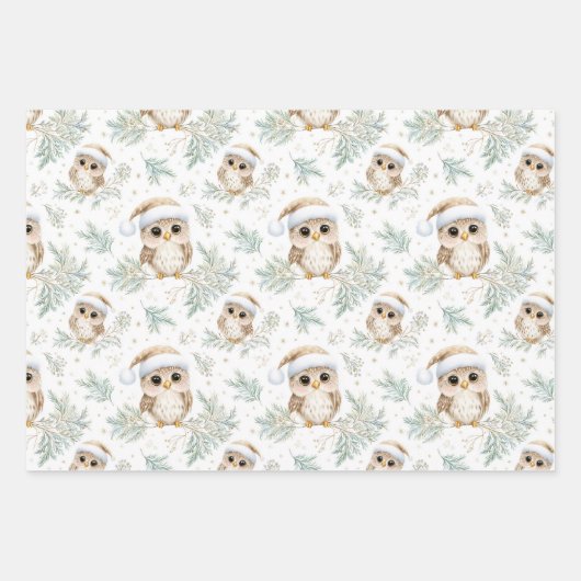 Robin Owl Patronen Zuidelijk Halfrond Kerstmis Inpakpapier Vel (Voorkant 2)