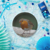 Robin Paper Borden Papieren Bordje (Feest)