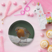 Robin Paper Borden Papieren Bordje (Feest)