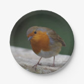 Robin Paper Borden Papieren Bordje (Voorkant)