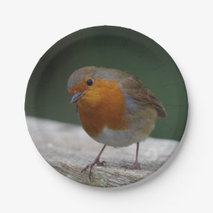 Robin Paper Borden Papieren Bordje