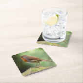 Robin Paper Onderzetters (Insitu)