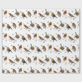 Robin Party Wrapping Papier (kies kleur) (Vlak)