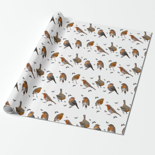 Robin Party Wrapping Papier (kies kleur) (Uitgerold)