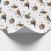 Robin Party Wrapping Papier (kies kleur) (Hoek)