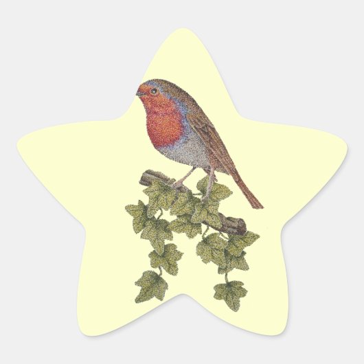 Robin perched on ivy leaf wilde vogels ster sticker (Voorkant)
