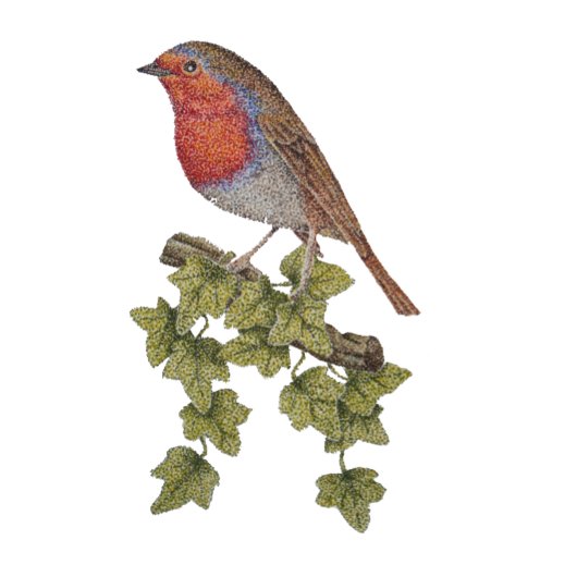 Robin Perched on ivy leafs wilde vogels Cadeaupapier