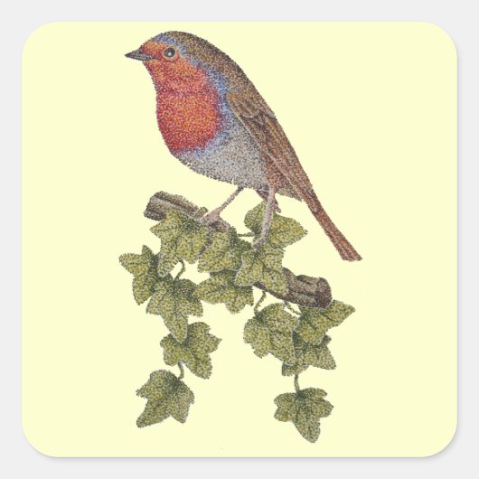 Robin Perched on ivy leafs wilde vogels Vierkante Sticker (Voorkant)