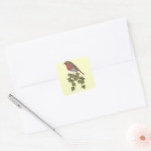 Robin Perched on ivy leafs wilde vogels Vierkante Sticker (Envelop)