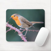 Robin Perched op een Blackberry Branch Muismat (Met muis)