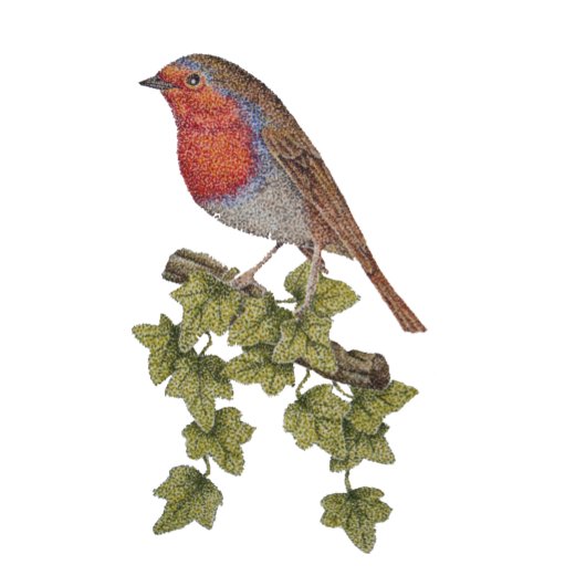 Robin perched op visblad wilde vogel trucker pet