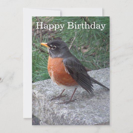 Robin Photo Birthday Flat Kaart (Voorkant)