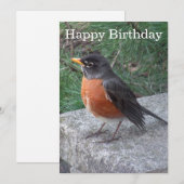  Robin Photo Birthday Flat Kaart (Voorkant / Achterkant)