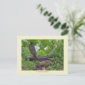 Robin Photo Briefkaart (Staand voorkant)