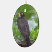 Robin Photo Ornament (Links)