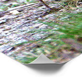 Robin Photo Poster (Hoek)