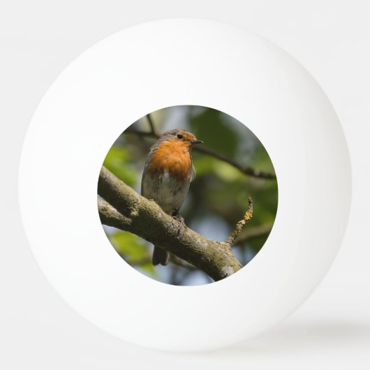 Robin Pingpongbal (Voorkant)