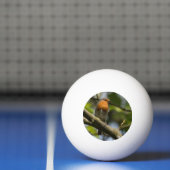 Robin Pingpongbal (Net)