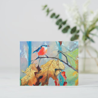 Robin Postcard Briefkaart