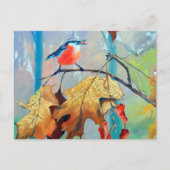 Robin Postcard Briefkaart (Voorkant)