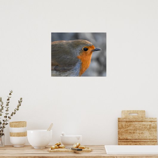 Robin Poster (Keuken)