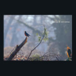 Robin Poster<br><div class="desc">Robin on a broken branch</div>