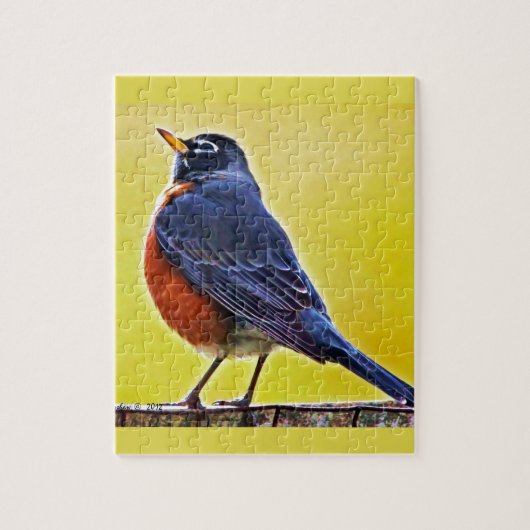 Robin Products Legpuzzel (Verticaal)