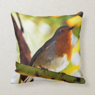 Robin Red-borstelvogel Kussen