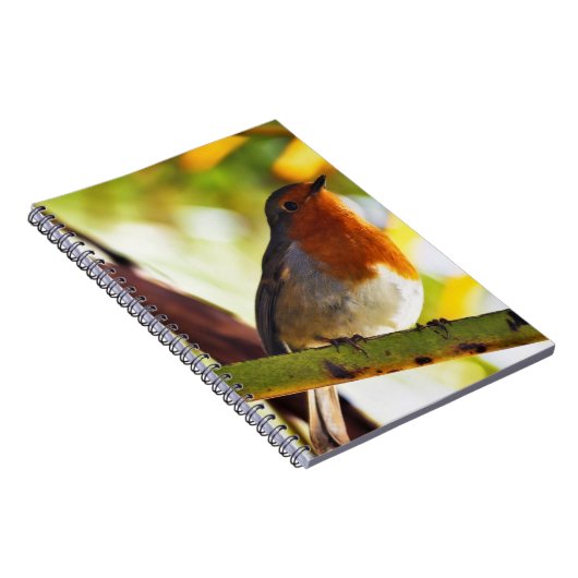 Robin Red-borstelvogel Notitieboek (Rechterzijde)