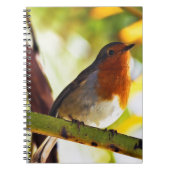 Robin Red-borstelvogel Notitieboek (Voorkant)