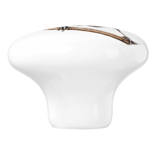 Robin Red-borstvogel Keramische Knop (Zijkant)