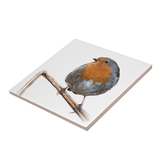 Robin Red-borstvogel Tegeltje (Zijkant)