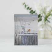 Robin Red Breast Briefkaart (Staand voorkant)