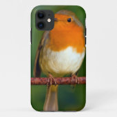 Robin Red Breast Case-Mate iPhone Case (Achterkant)