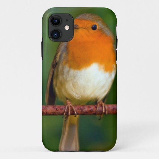 Robin Red Breast Case-Mate iPhone Case (Achterkant)