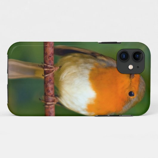 Robin Red Breast Case-Mate iPhone Case (Achterkant (horizontaal))