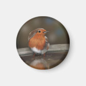 Robin Red Breast Enjoying a Bath Magneet (Voorkant)
