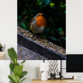 Robin Red Breast Photo Print (Thuiskantoor)