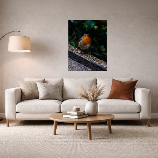 Robin Red Breast Photo Print