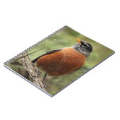 Robin Red Breast Spiral-laptop Notitieboek (Linkerzijde)