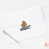 Robin Red Breast Vierkante Sticker (Envelop)