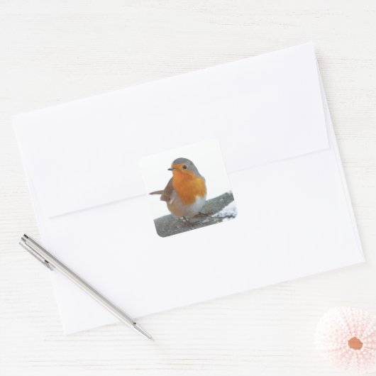 Robin Red Breast Vierkante Sticker (Envelop)