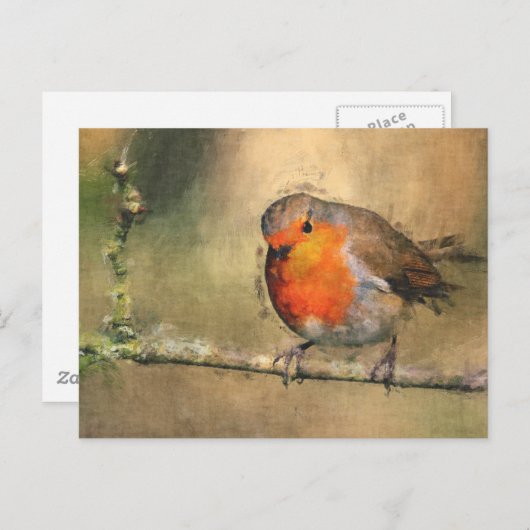 Robin RedbormamRobin Briefkaart (Voorkant / Achterkant)